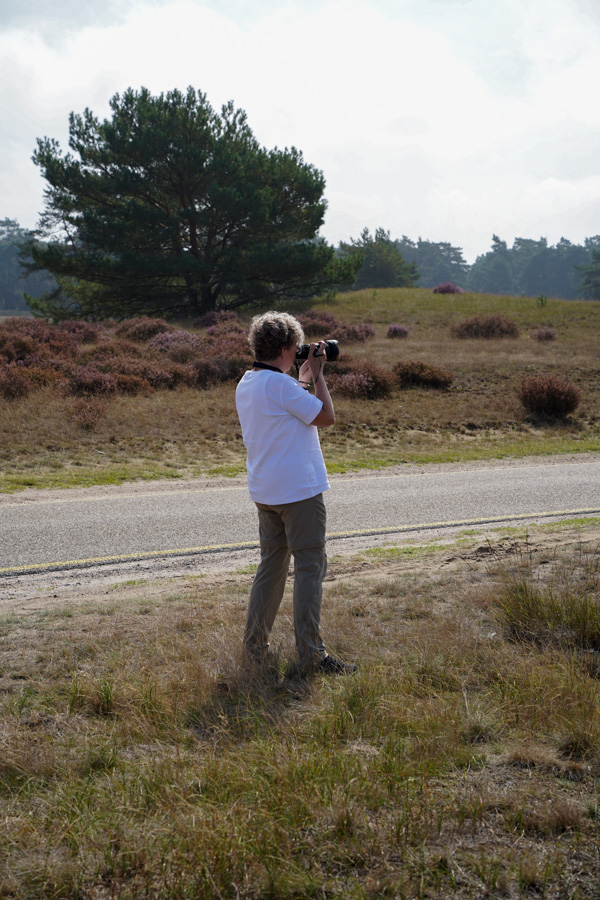Nationaal park De Hoge Veluwe Nationaal park De Hoge Veluwe