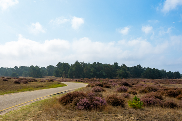 Nationaal park De Hoge Veluwe Nationaal park De Hoge Veluwe