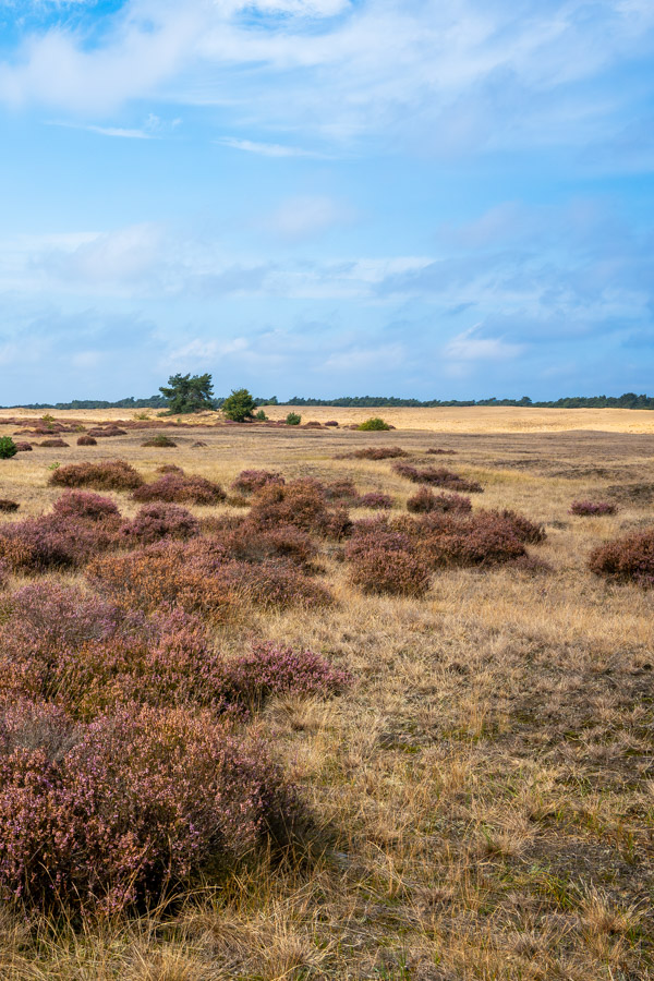 Nationaal park De Hoge Veluwe Nationaal park De Hoge Veluwe