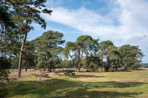 Nationaal park De Hoge Veluwe Nationaal park De Hoge Veluwe