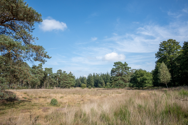 Nationaal park De Hoge Veluwe Nationaal park De Hoge Veluwe