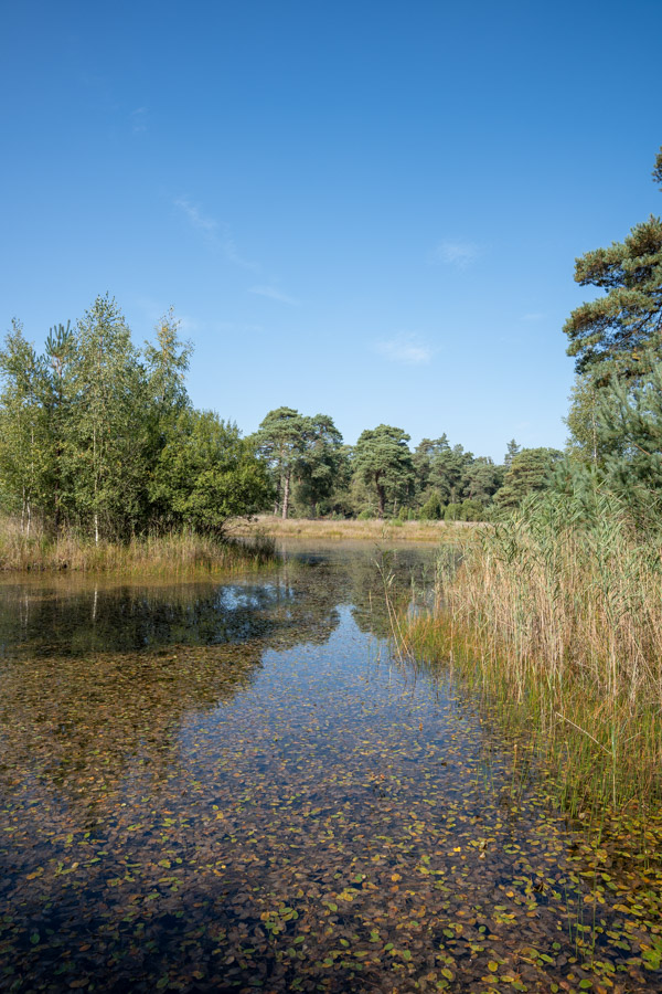Nationaal park De Hoge Veluwe Nationaal park De Hoge Veluwe