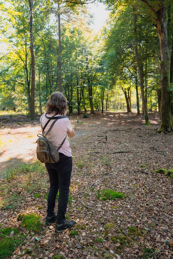 Nationaal park De Hoge Veluwe Nationaal park De Hoge Veluwe