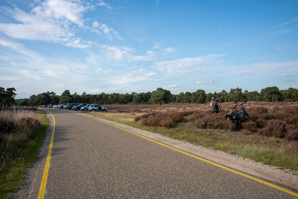 Nationaal park De Hoge Veluwe Nationaal park De Hoge Veluwe