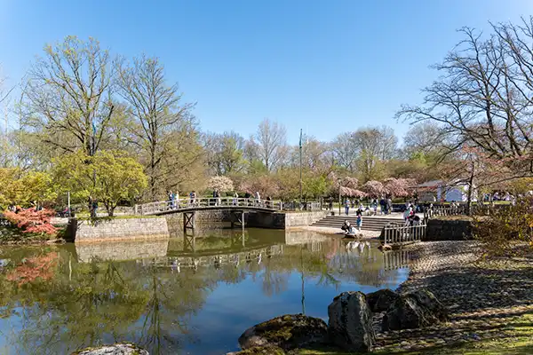 Japanse Tuin @ Hasselt, Belgisch Limburg