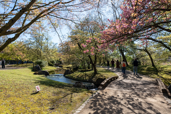 Japanse Tuin @ Hasselt, Belgisch Limburg Japanse Tuin @ Hasselt, Belgisch Limburg