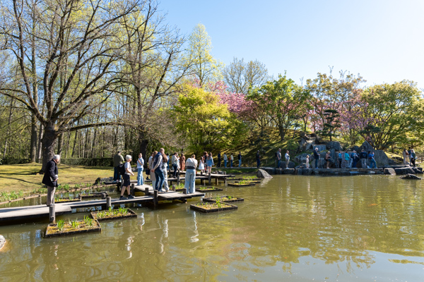 Japanse Tuin @ Hasselt, Belgisch Limburg Japanse Tuin @ Hasselt, Belgisch Limburg