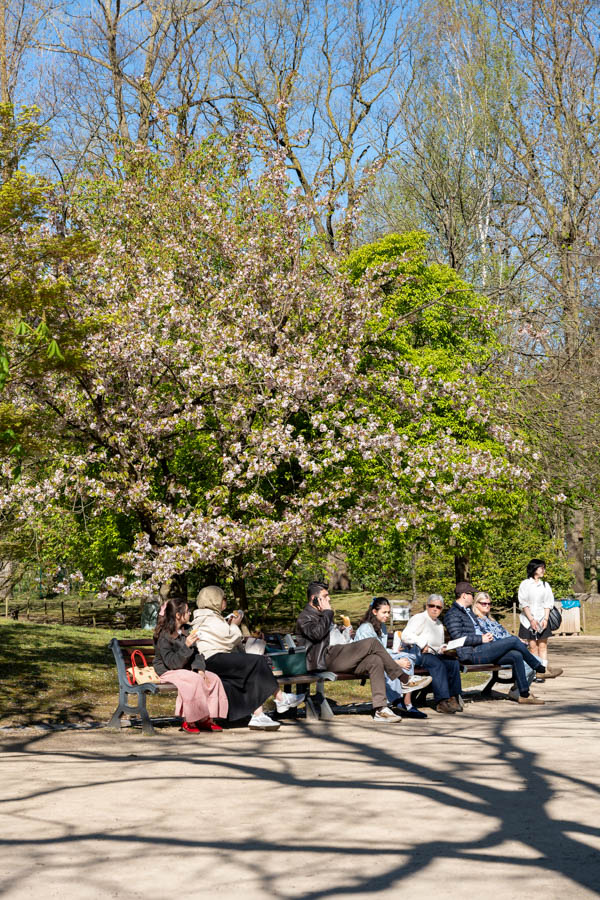 Japanse Tuin @ Hasselt, Belgisch Limburg Japanse Tuin @ Hasselt, Belgisch Limburg