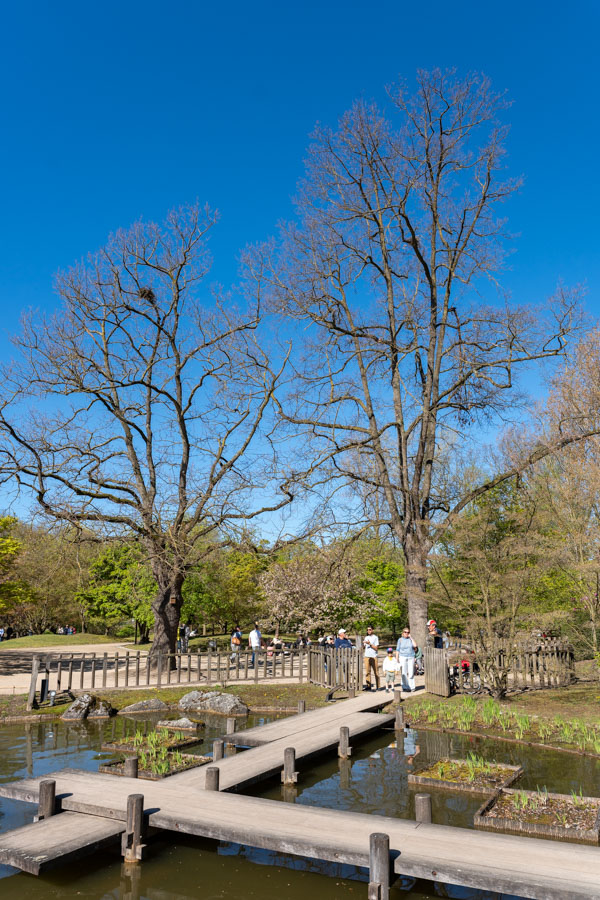 Japanse Tuin @ Hasselt, Belgisch Limburg Japanse Tuin @ Hasselt, Belgisch Limburg