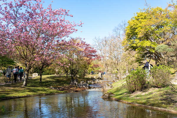 Japanse Tuin @ Hasselt, Belgisch Limburg Japanse Tuin @ Hasselt, Belgisch Limburg