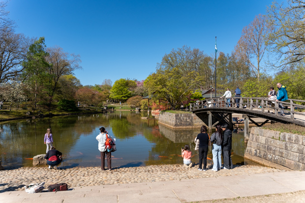 Japanse Tuin @ Hasselt, Belgisch Limburg Japanse Tuin @ Hasselt, Belgisch Limburg
