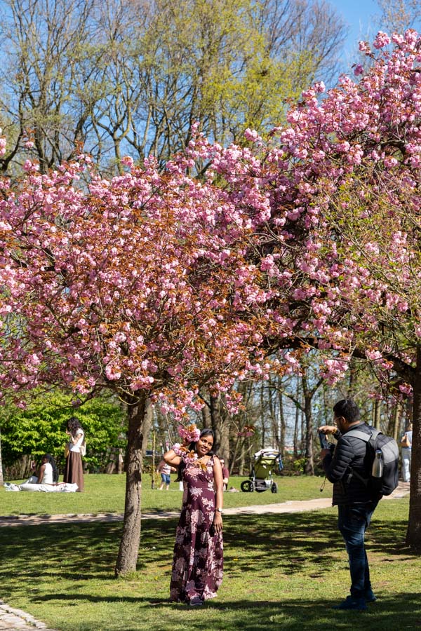 Japanse Tuin @ Hasselt, Belgisch Limburg Japanse Tuin @ Hasselt, Belgisch Limburg