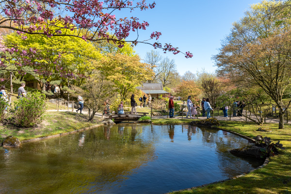 Japanse Tuin @ Hasselt, Belgisch Limburg Japanse Tuin @ Hasselt, Belgisch Limburg