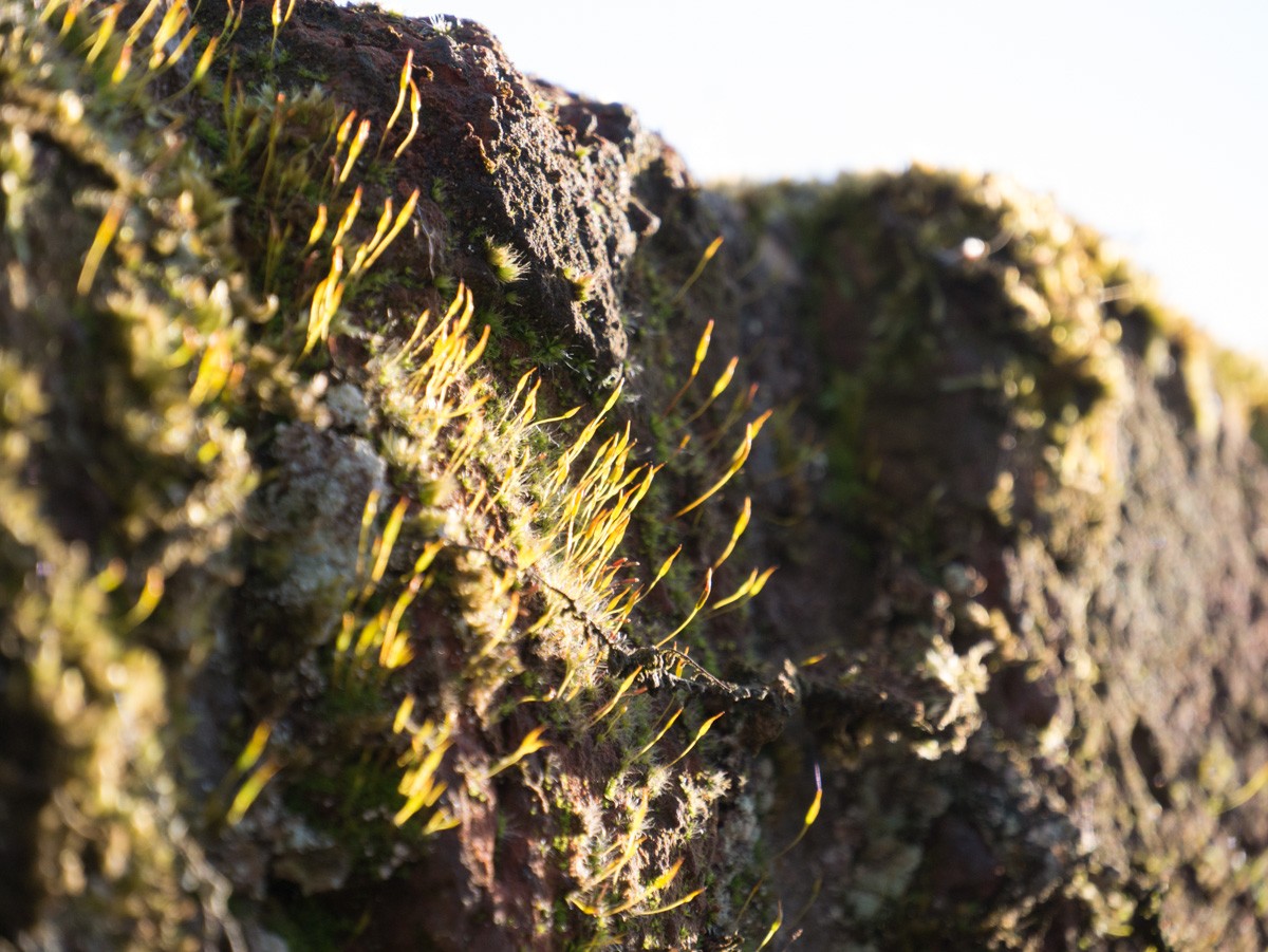 veere 007 1250583 veere 007 1250583