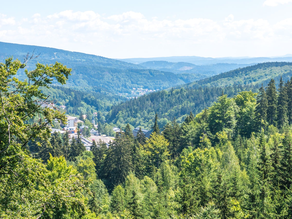 220803 janske lazne boomkroonpad 0003 220803 janske lazne boomkroonpad 0003