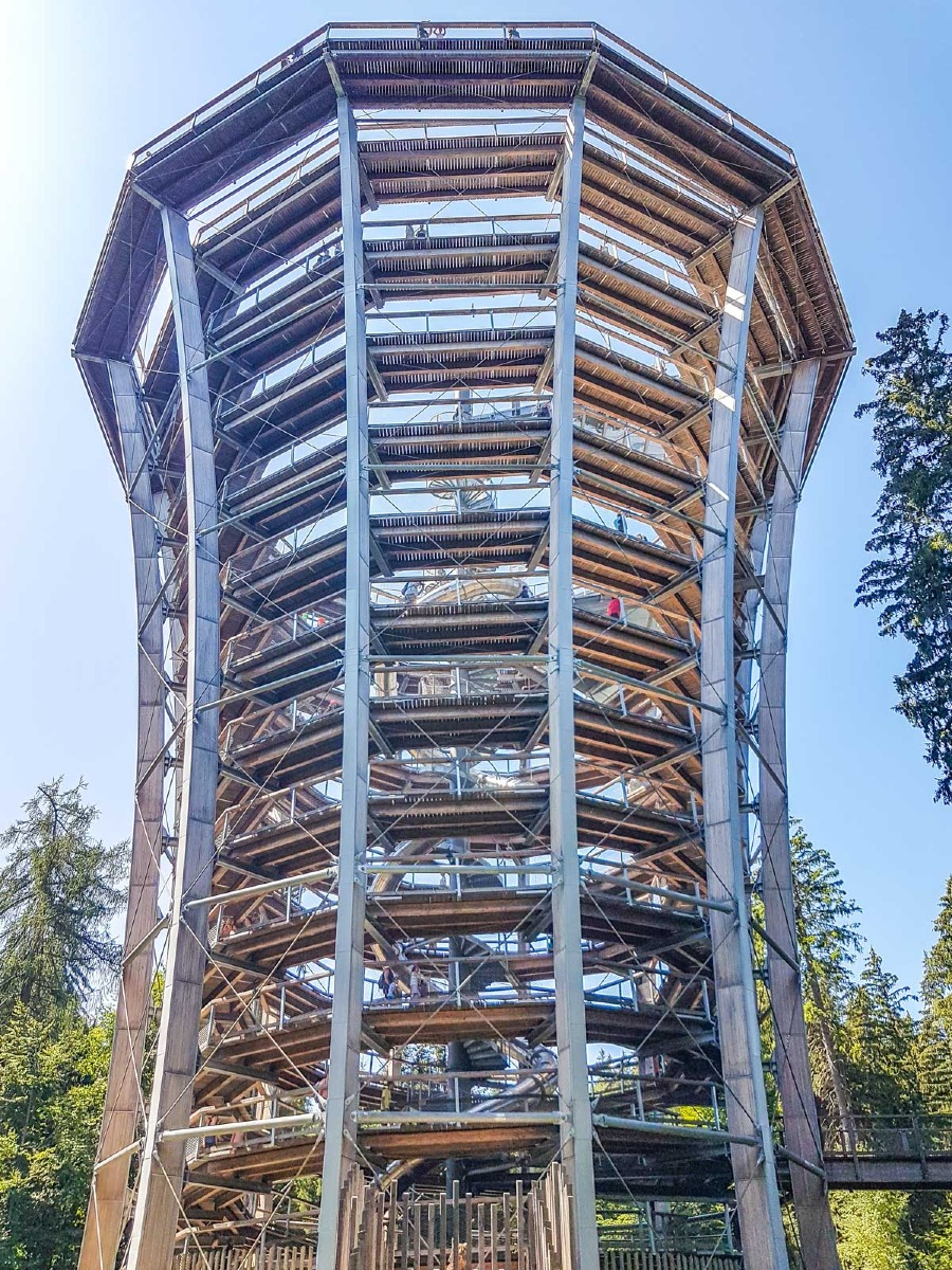 220803 janske lazne boomkroonpad 0007 2022 08 03.26.27 220803 janske lazne boomkroonpad 0007 2022 08 03.26.27