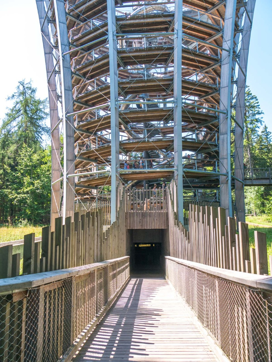 220803 janske lazne boomkroonpad 0008 220803 janske lazne boomkroonpad 0008