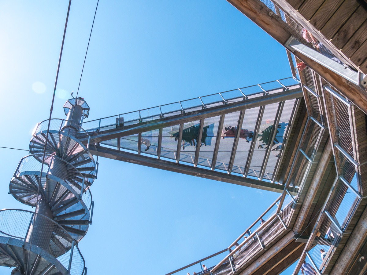 220803 janske lazne boomkroonpad 0011 220803 janske lazne boomkroonpad 0011