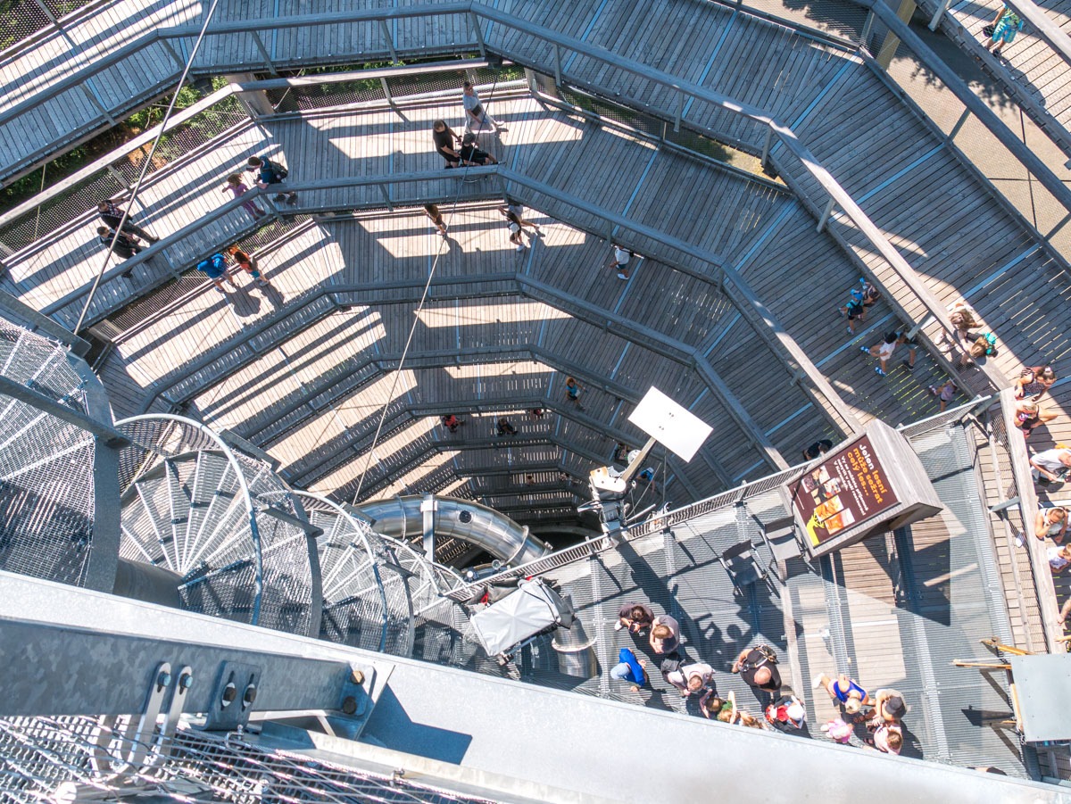 220803 janske lazne boomkroonpad 0012 220803 janske lazne boomkroonpad 0012