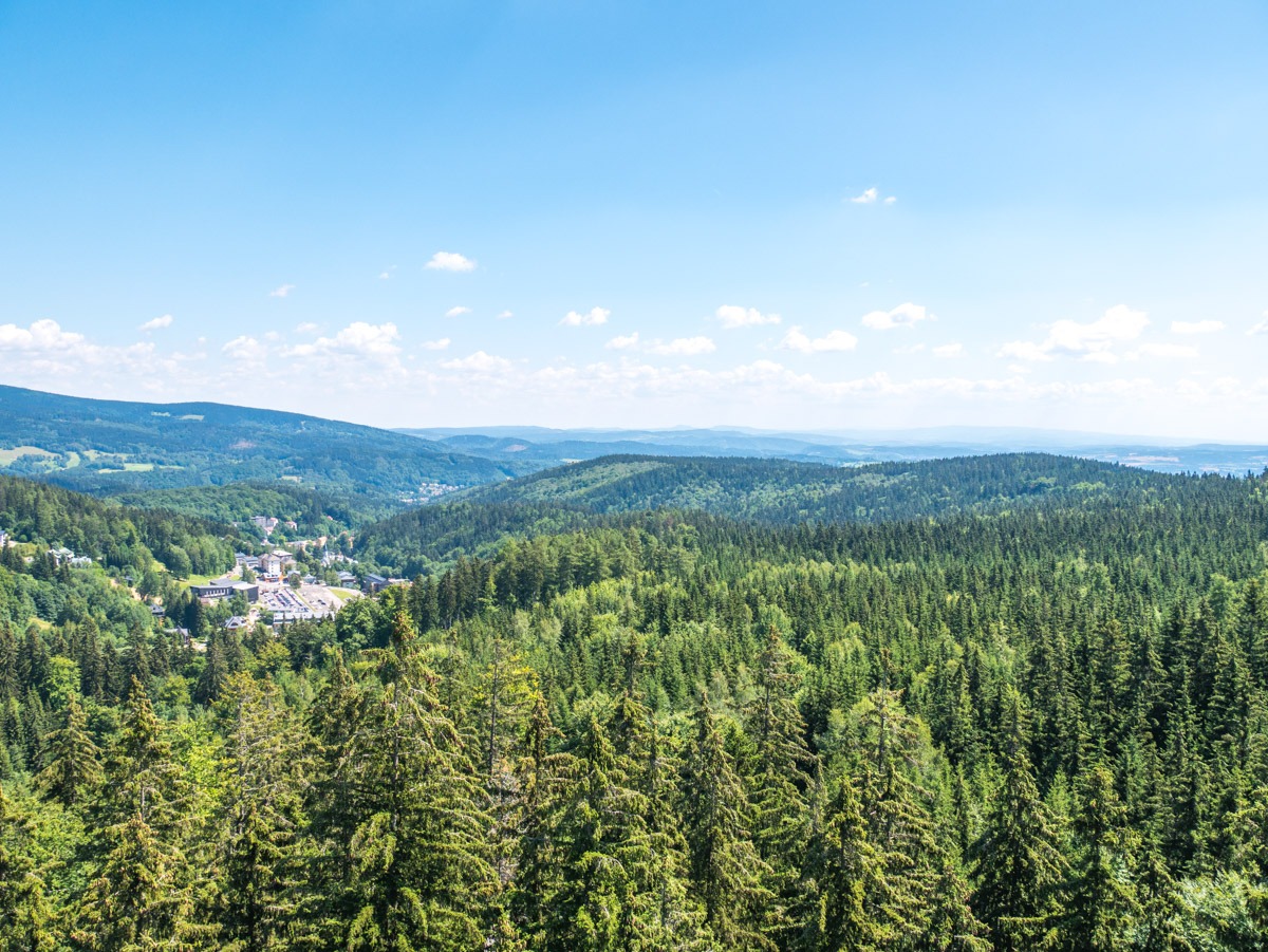 220803 janske lazne boomkroonpad 0014 220803 janske lazne boomkroonpad 0014