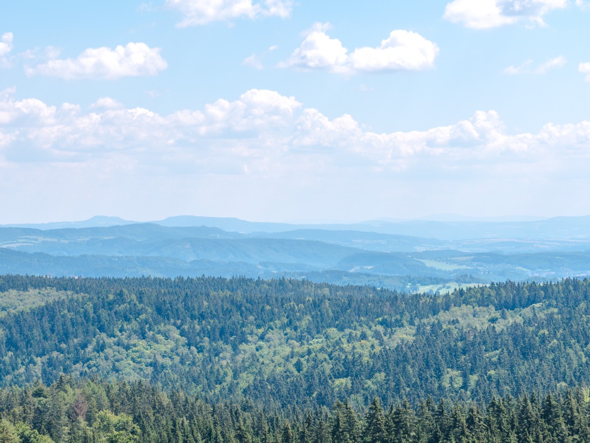 220803 janske lazne boomkroonpad 0015 220803 janske lazne boomkroonpad 0015