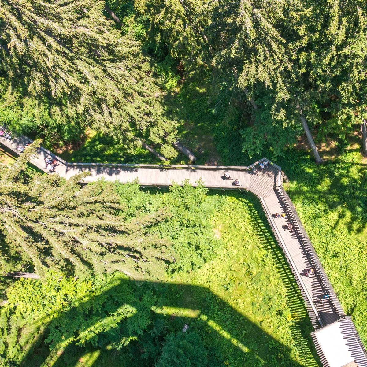 220803 janske lazne boomkroonpad 0016 220803 janske lazne boomkroonpad 0016