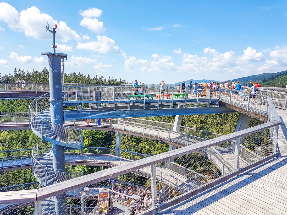 220803 janske lazne boomkroonpad 0017 2022 08 03.00.34 220803 janske lazne boomkroonpad 0017 2022 08 03.00.34