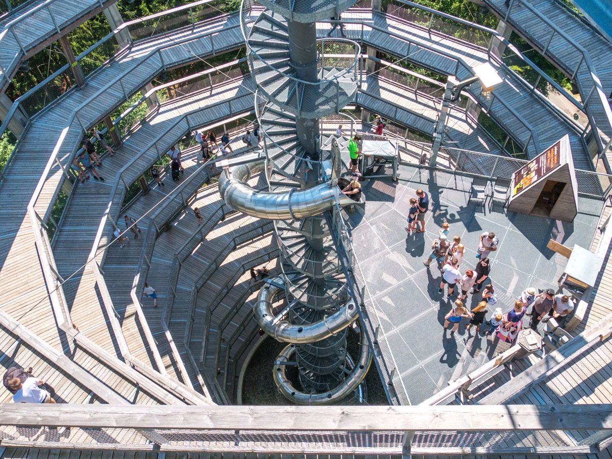 220803 janske lazne boomkroonpad 0018 220803 janske lazne boomkroonpad 0018