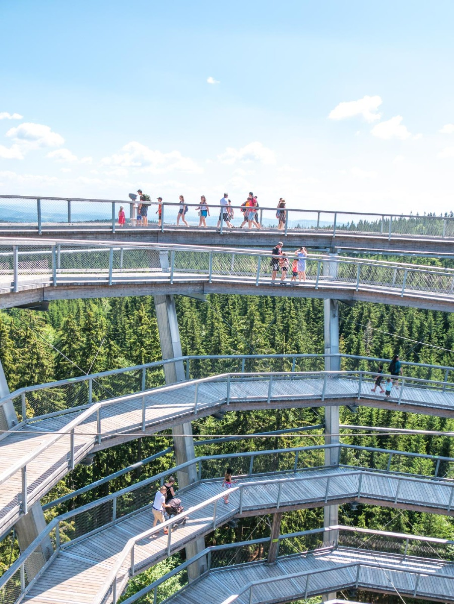 220803 janske lazne boomkroonpad 0019 220803 janske lazne boomkroonpad 0019