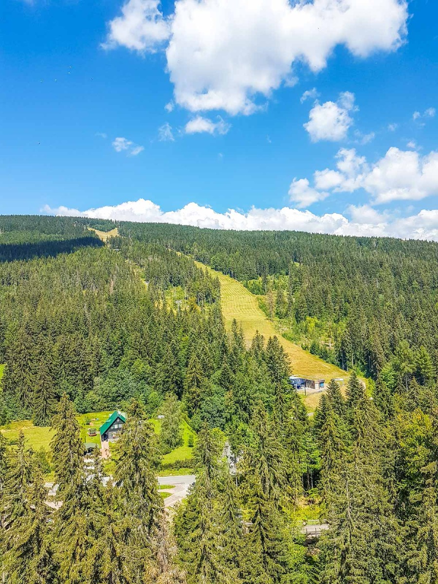 220803 janske lazne boomkroonpad 0020 2022 08 03.00.55 220803 janske lazne boomkroonpad 0020 2022 08 03.00.55