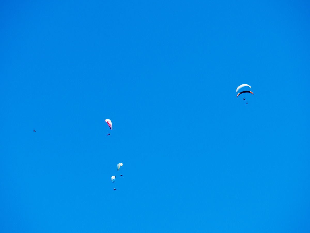 220803 janske lazne boomkroonpad 0021 220803 janske lazne boomkroonpad 0021