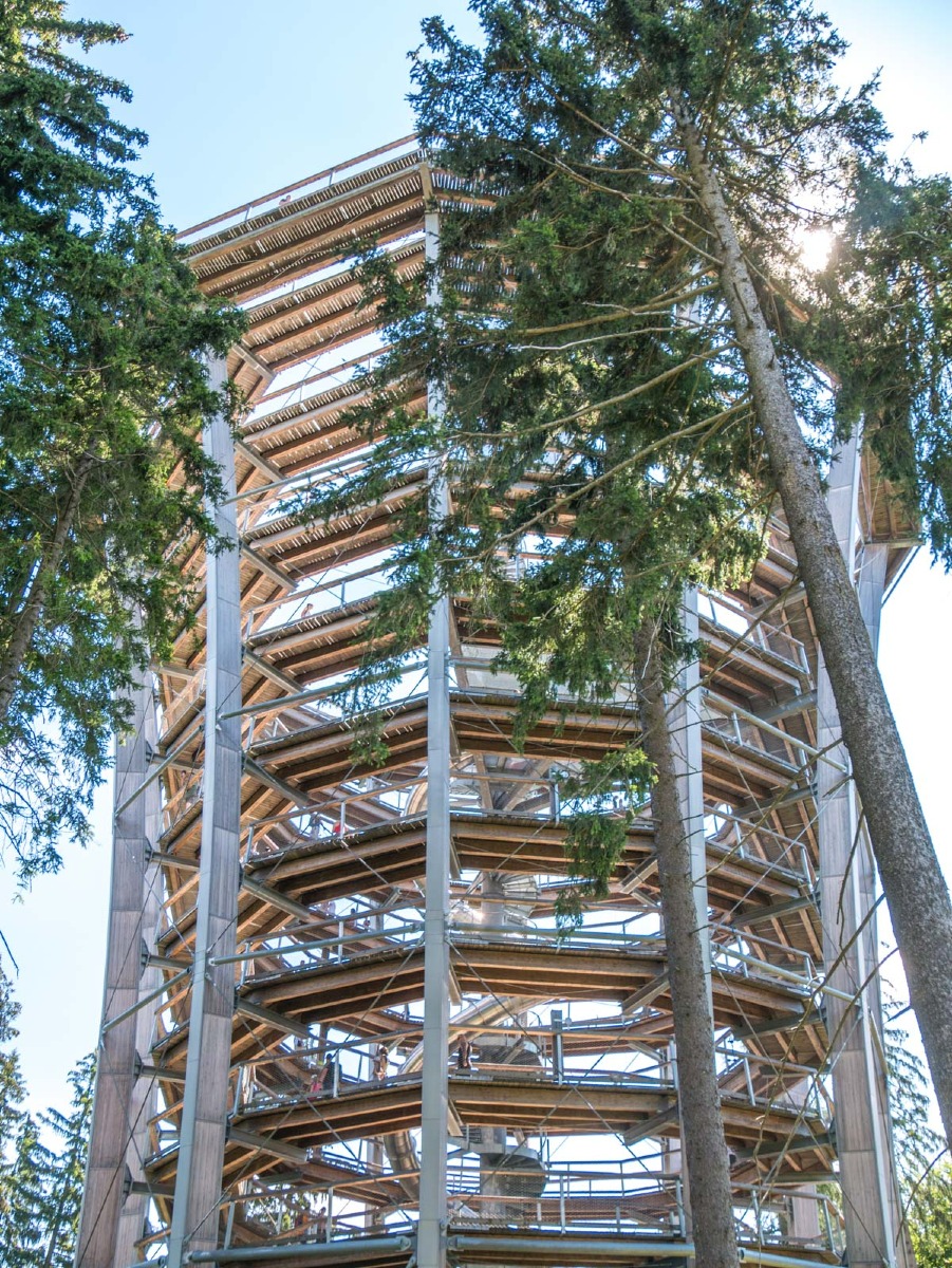 220803 janske lazne boomkroonpad 0022 220803 janske lazne boomkroonpad 0022