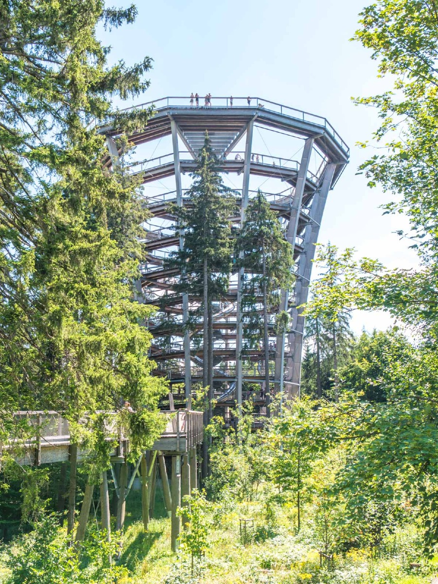 220803 janske lazne boomkroonpad 0024 220803 janske lazne boomkroonpad 0024