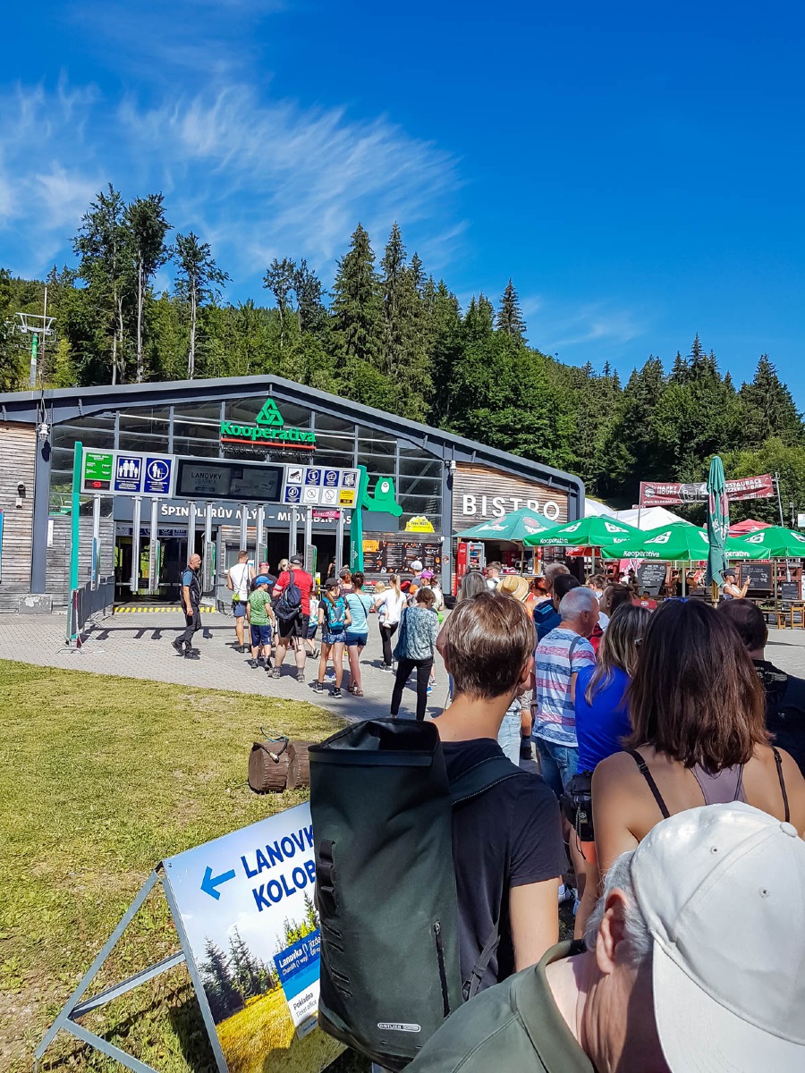 0001 medvedin 2022 08 05.58.57 0001 medvedin 2022 08 05.58.57