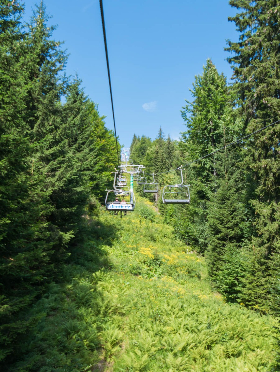 0002 medvedin 0002 medvedin