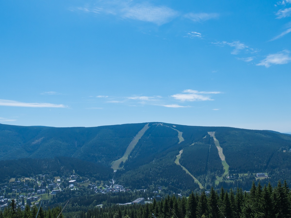 0004 medvedin 0004 medvedin