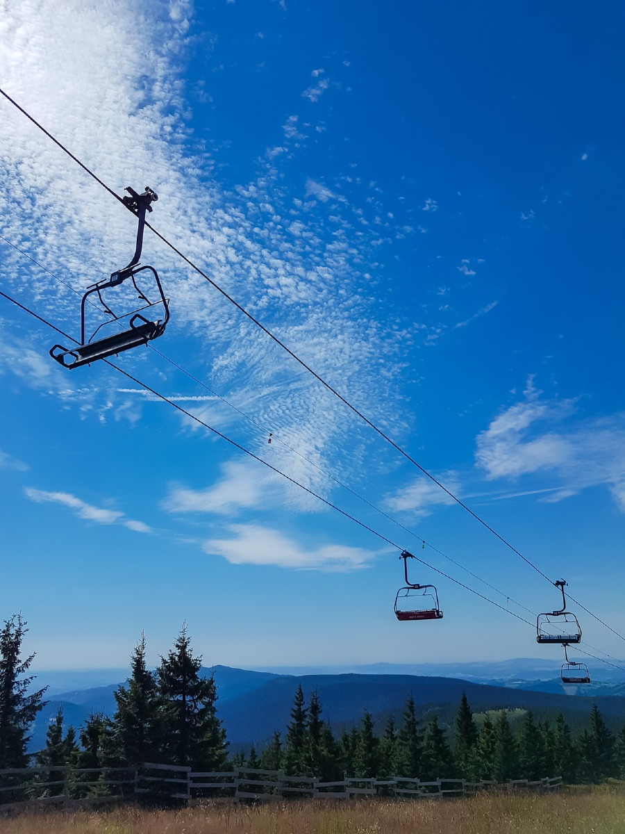 0006 medvedin 2022 08 05.29.47 0006 medvedin 2022 08 05.29.47