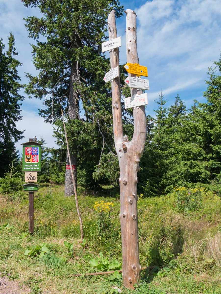 0009 medvedin 0009 medvedin