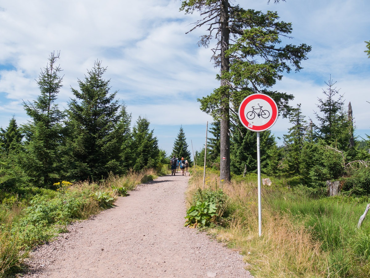 0010 medvedin 0010 medvedin