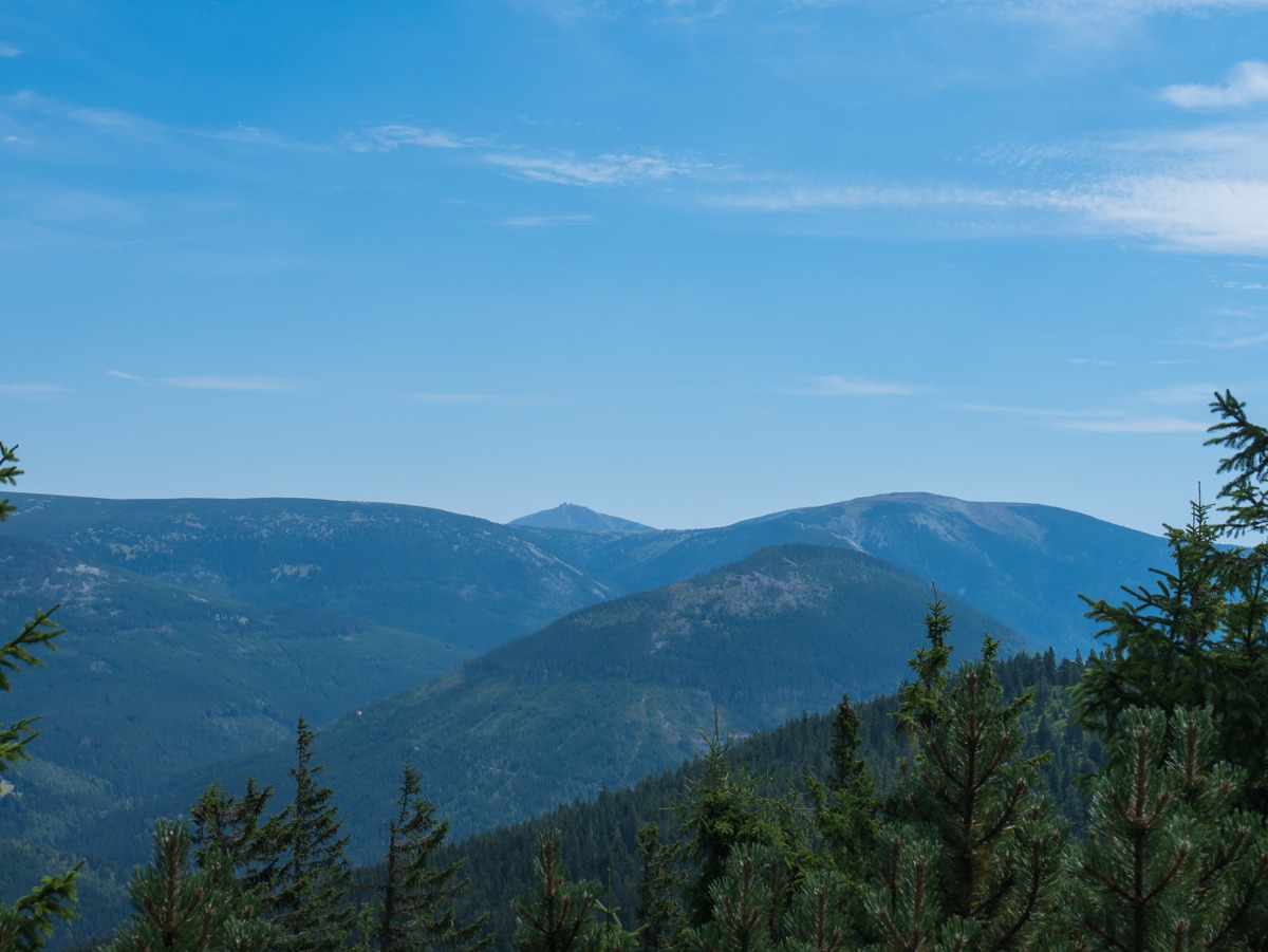 0012 medvedin 0012 medvedin