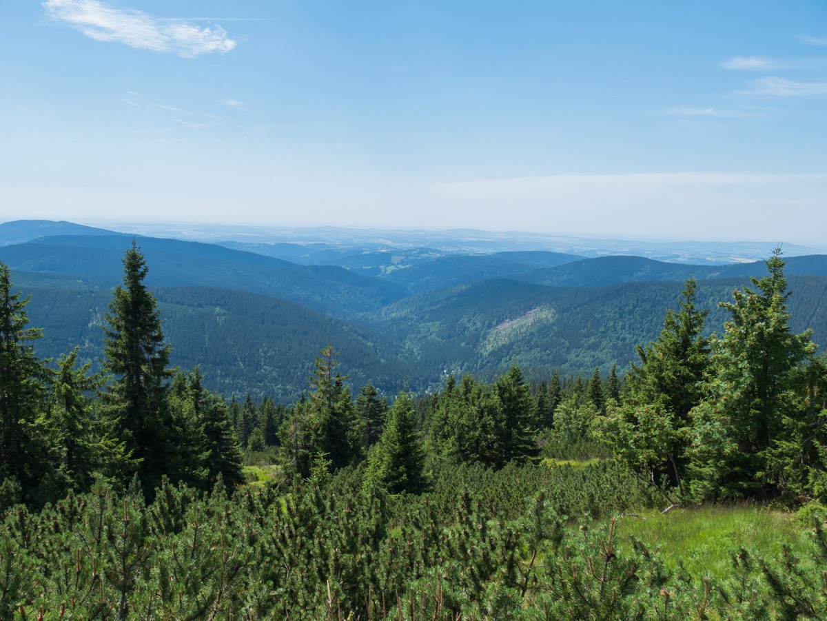 0013 medvedin 0013 medvedin