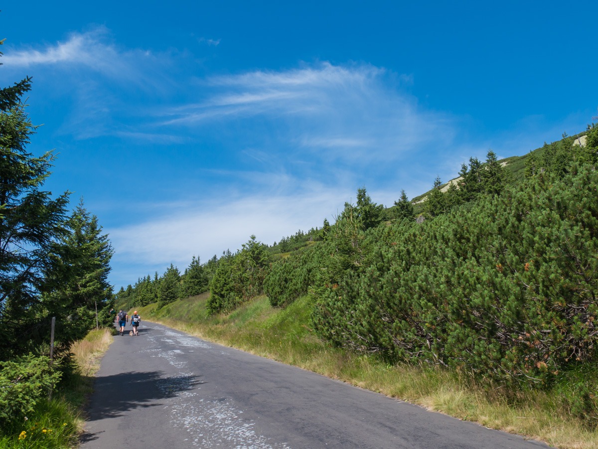 0014 medvedin 0014 medvedin