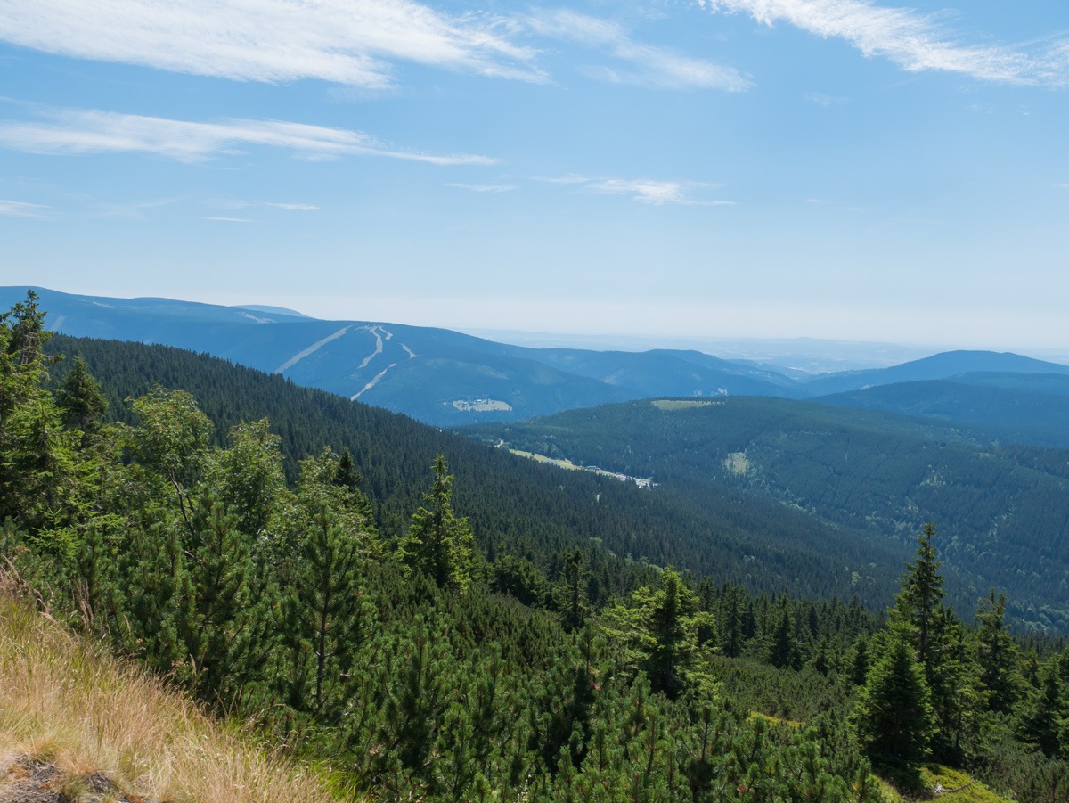 0015 medvedin 0015 medvedin