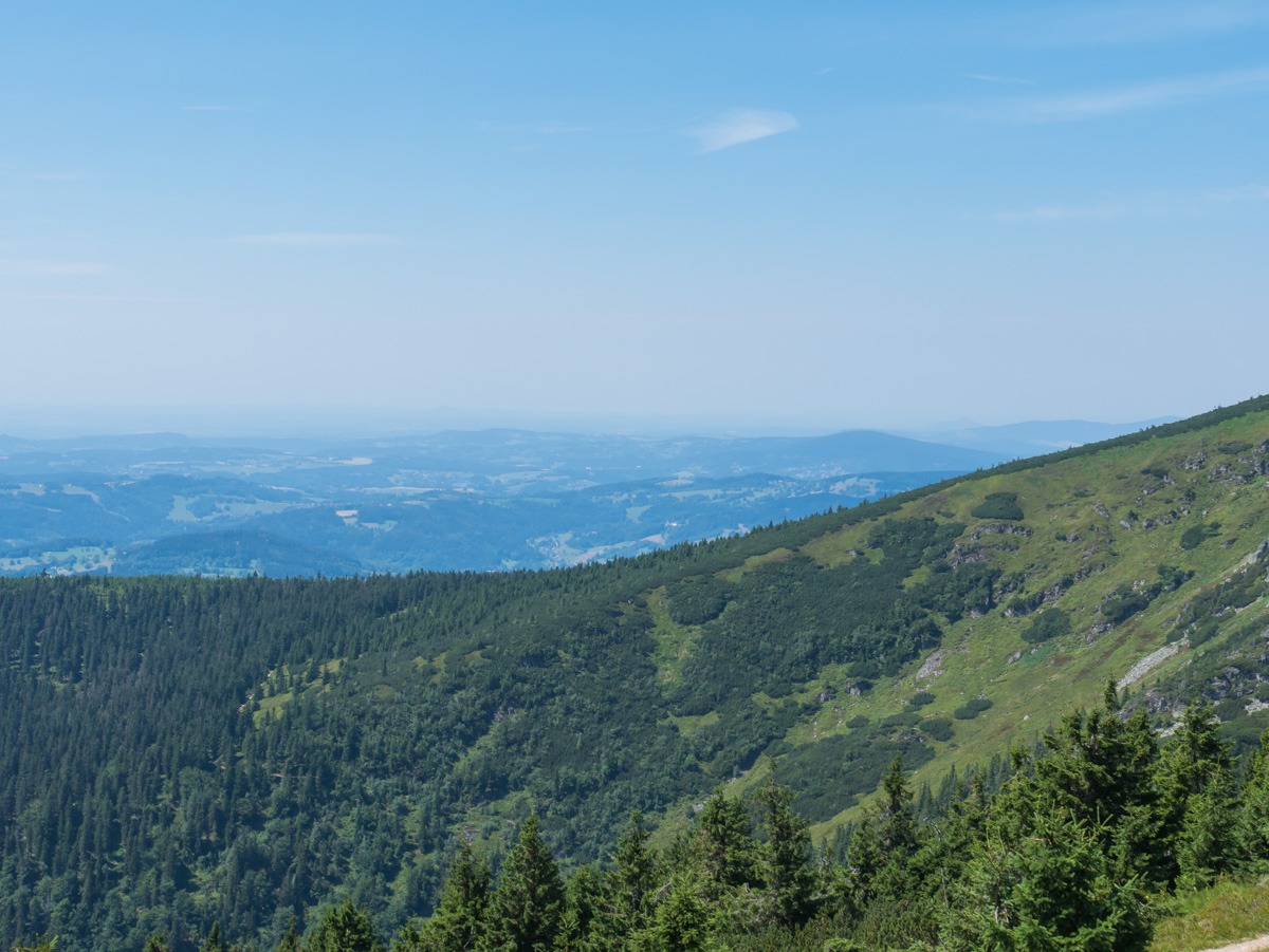 0017 medvedin 0017 medvedin