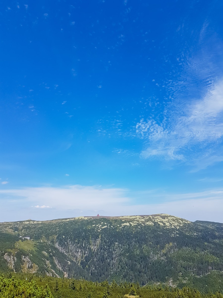 0019 medvedin 2022 08 05.54.10 0019 medvedin 2022 08 05.54.10