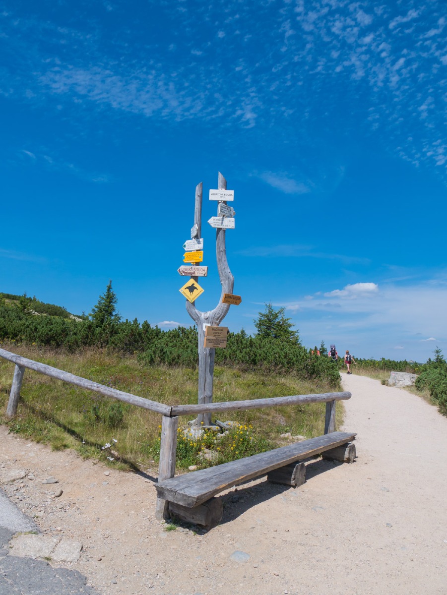 0020 medvedin 0020 medvedin