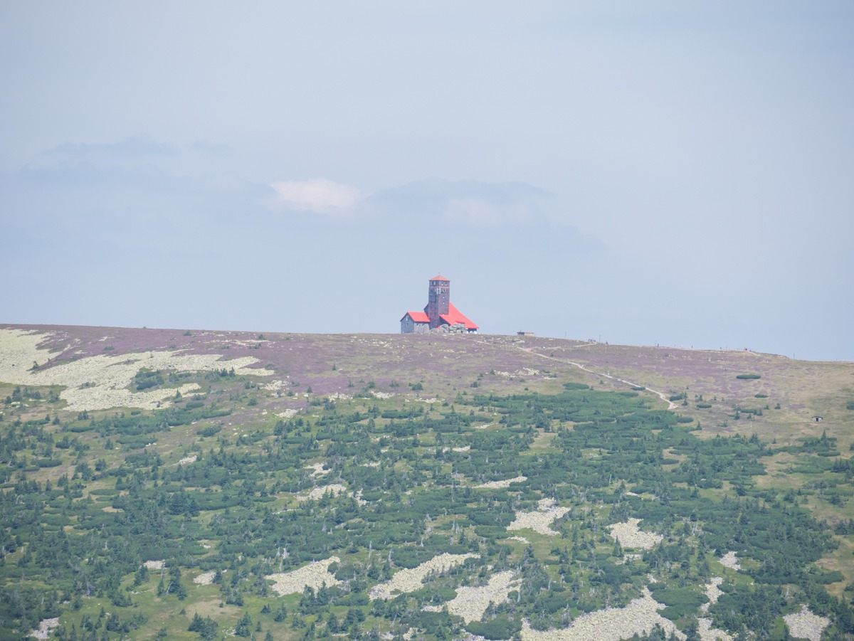 0021 medvedin 0021 medvedin