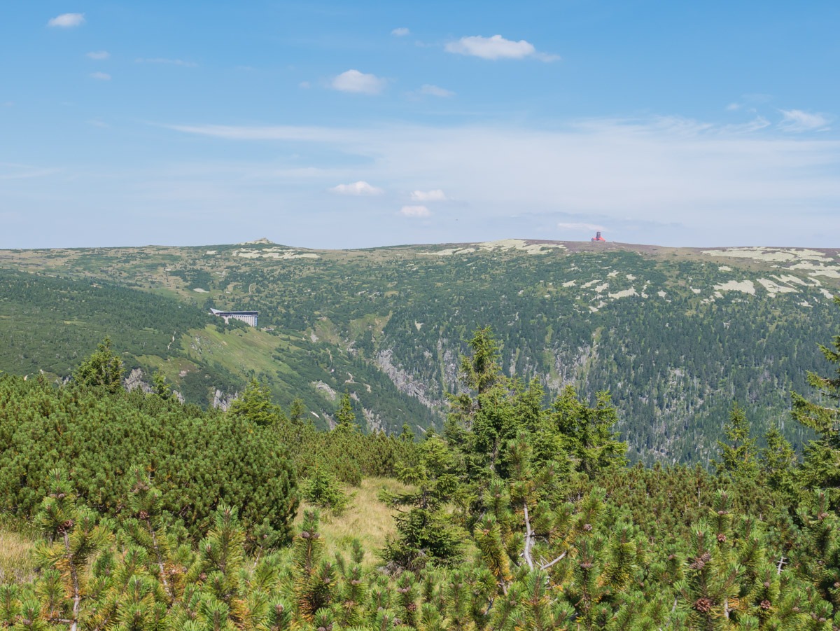 0025 medvedin 0025 medvedin