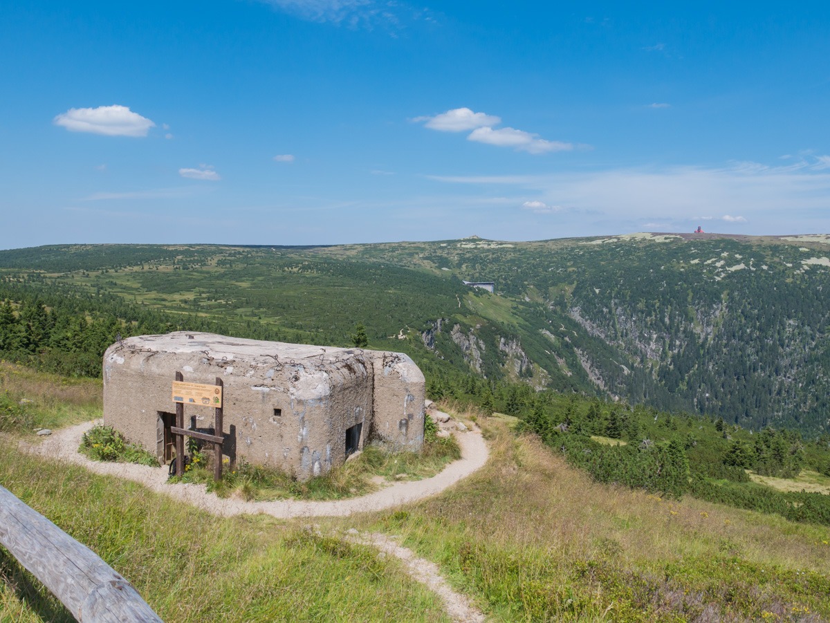 0026 medvedin 0026 medvedin