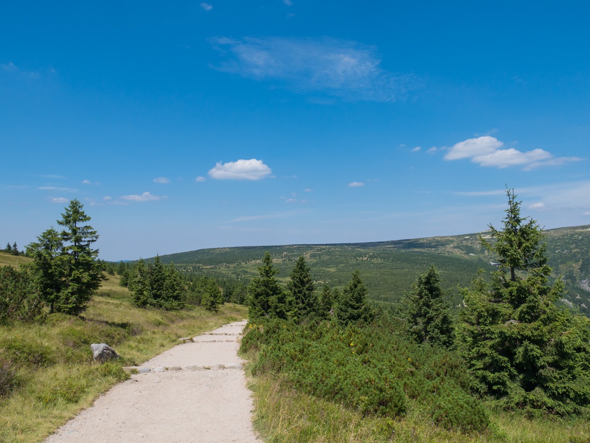 0027 medvedin 0027 medvedin